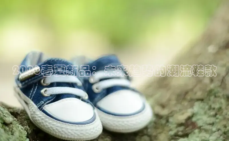 2026春夏新品：未来趋势的潮流鞋款